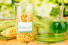 Ireland biofuel availability